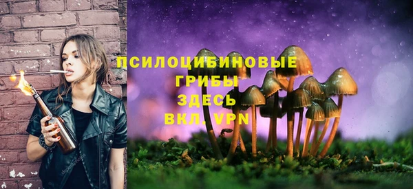 винт Алексин
