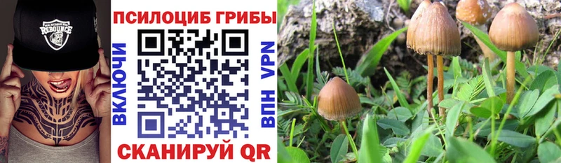 Галлюциногенные грибы MAGIC MUSHROOMS  Самара 